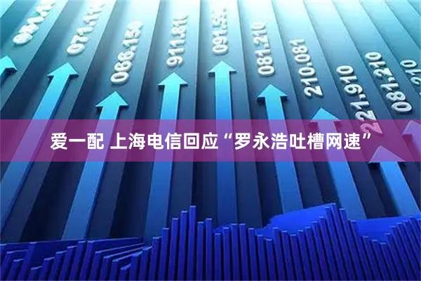 爱一配 上海电信回应“罗永浩吐槽网速”