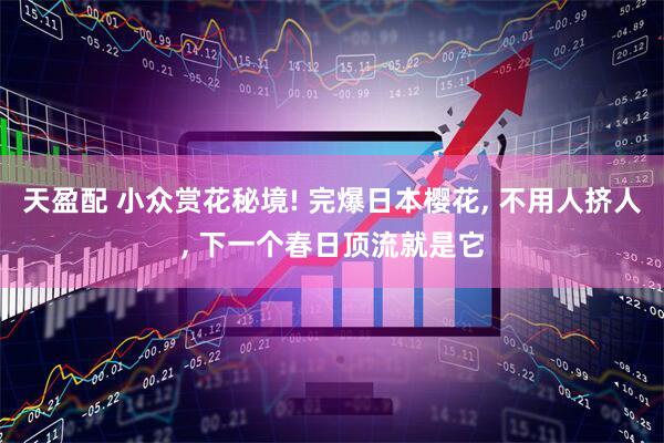 天盈配 小众赏花秘境! 完爆日本樱花, 不用人挤人, 下一个春日顶流就是它